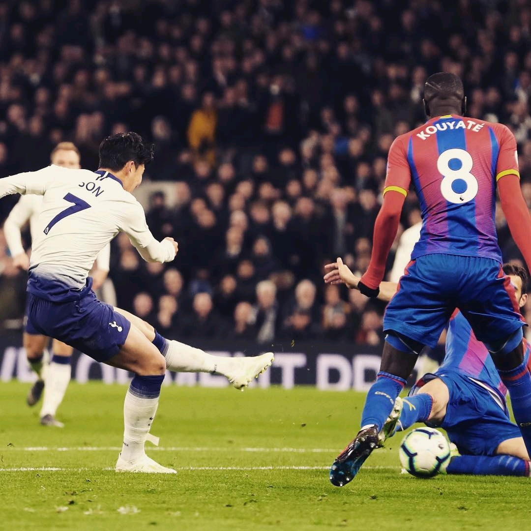 技术的支持 技术的支持